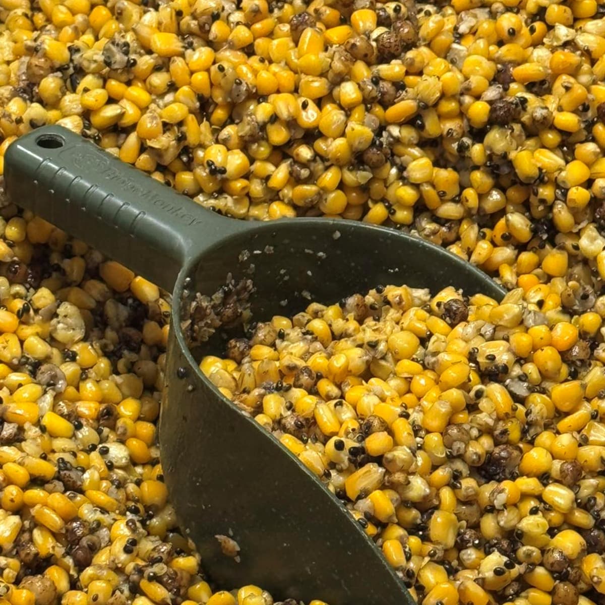 SPOD MIX CEREALE UNIVERSAL  3 kg